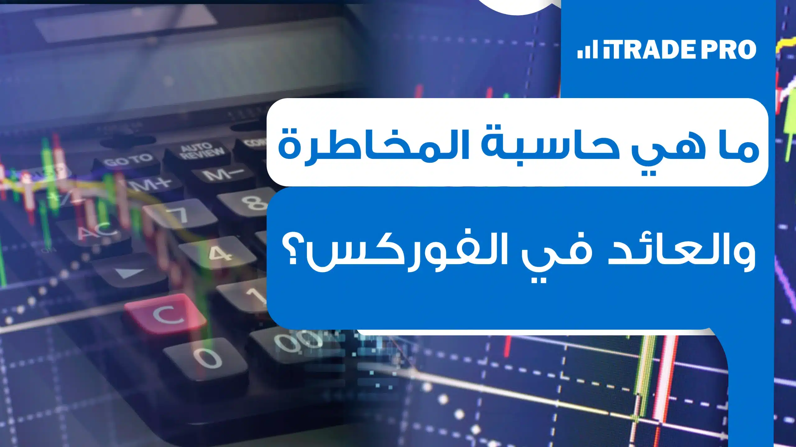 حاسبة المخاطرة